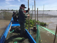 រុះរើនិង បំផ្លាញចោល របាំងស្បៃមុង នៅនឹងកន្លែង ចំណុចវាលភក់ ឃុំផ្លូវទូក ស្រុកកំពង់លែង