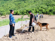 លោកឧកញ៉ា ម៉ុង ឬទ្ធី បានត្រៀមរួចហើយ ក្នុងការចូលរួម ដាំដើមឈើឡើងវិញ នៅតំបន់ភ្នំតាម៉ៅ លើផ្ទៃដីភ្នំតាម៉ៅ ដែលត្រូវឈូសឆាយ