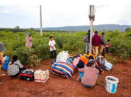 អាជ្ញាធរអះអាងថា នៅសល់មនុស្សតិចតួចប៉ុណ្ណោះ កំពុងបន្តស្នាក់នៅ ក្នុងជំរុំគ្រប់គ្រងដោយ លោក ខឹម វាសនា