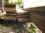 កាឡេថង ២គ្រឿង ដឹកឈើដោយខុសច្បាប់ សមត្ថកិច្ចឃាត់ រើទំលាក់អុសចុះ ឃើញឈើភ្ញាក់ព្រឺតទាំងព្រឹក