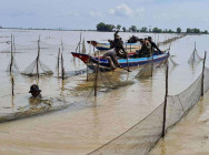 ខណ្ឌរដ្ឋបាលជលផលកំពង់ធំ  សហការជាមួយ កងរាជអាវុធហត្ថតំបន់សិក់រង និងសហគមន៍នេសាទ ចុះទប់ស្កាត់ និងបង្ក្រាបបទល្មើសជលផល