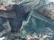 សមត្ថកិច្ច ផ្នែករដ្ឋបាលជលផលផ្សារឆ្នាំង ចុះបង្ក្រាប និងរុះរើលបប្រឺស១០០ នៅចំណុចកោះក្របី តាមបញ្ជា ឯកឧត្តម អ៊ិត សុធា 