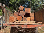 គោយន្តមួយគ្រឿង ដឹកជញ្ជូនឈើអត់ច្បាប់ ជាប់អន្ទាក់ កងរាជអាវុធហត្ថ