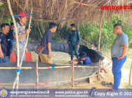 សមត្ថកិច្ចនគរបាល បង្រ្កាបទីតាំងជល់មាន់ភ្នាល់ដាក់ប្រាក់ មួយកន្លែង ឃាត់ខ្លួនមនុស្ស ចំនួន១៩នាក់