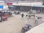 ពលរដ្ឋរងរបួសដោយក្របីវ័ធ នៅកណ្តាលក្រុងប៉ោយប៉ែត ដាក់បណ្តឹងទៅ សមត្ថកិច្ចជំនាញ ជាបន្តបន្ទាប់