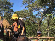 ករណីផ្ទុះមីននៅស្រុកថ្មពួក បុរសម្នាក់ត្រូវរបួសធ្ងន់ នៅពេលជនរងគ្រោះ ចូលព្រៃដើម្បីគាស់គល់ឈើ