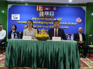 កម្ពុជា មានគោលបំណង ប្រែក្លាយឱ្យទៅជាប្រទេសផលិត ក៏ដូចជា អ្នកផ្គត់ផ្គង់ផលិតផល ស្វាយចន្ទី សម្រាប់ទីផ្សារក្នុងស្រុក តំបន់ និងពិភពលោក