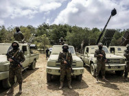 ក្រុមហេបូឡា នឹងចូលទៅក្នុង ជម្លោះរវាងប៉ាឡេស្ទីន និងអ៊ីស្រាអែល ប្រសិនបើក្រុមហាម៉ាស់ ចុះខ្សោយ