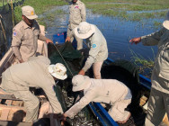 ខណ្ឌរដ្ឋបាលជលផលខេត្តកំពង់ធំ ចុះបង្ក្រាប បទល្មើសបឹងទន្លេសាប ទ្រង់ទ្រាយធំ បន្ទាប់ពីផ្ទុះការរិះគន់ ស្ដីពីការរៀបចំកញ្ចប់ ចូលហោប៉ៅបិតបាំងបទល្មើសនេសាទ នៅឃុំពាមបាង និងឃុំផាត់សណ្ដាយ