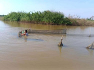 របាំងស្បៃមុង និងរបាំងក្រឡាញឹក កាត់ព្រែកចំនួន៣ករណី នៅស្រុកកំពង់លែង ត្រូវបានកម្ទេច