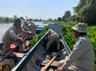 សម្រាស់ហ៊ុំព័ទត្រី៤៧កន្លែង ស្មើ និង២៣៥០ម៉ែត្រការ៉េ ត្រូវបានសមត្ថកិច្ចចម្រុះខេត្តកំពង់ឆ្នាំង រុះរើកម្ទេច