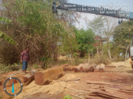 មន្ត្រីឧទ្យានជាតិជួរភ្នំក្រវាញ ចុះបង្ក្រាប ទីតាំងសន្និធិឈើ ដែលពួកឈ្មួញរកស៊ិឈើខុសច្បាប់ ប្រមូលឈើលាក់ទុក