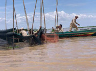 បទល្មើសនេសាទ ចាប់ពីចំណុចទ្វាបឹង លំហរទន្លេ រហូតដល់បាឡត ក្នុងភូមិសាស្ត្រឃុំផាត់សណ្តាយ ស្រុកកំពង់ស្វាយ និងឃុំពាមបាង ស្រុកស្ទោង ខេត្តកំពង់ធំ ត្រូវបានកម្លាំងជំនាញ ចេញប្រតិបត្តការបង្ក្រាប