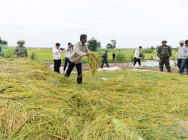 ស្រុក ក្រុង ចំនួន៣ នៅខេត្តកំពង់ធំ រងផលប៉ះពាល់ ដោយជំនន់ទឹកភ្លៀងដំបូង
