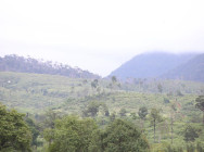 ព័ត៌មានក្នុងប្រអប់ខ្មៅ និងត្រូវអ្នកបច្ចេកទេស ឆែកមើល ដើម្បីដឹងពីមូលហេតុនៃ ការធ្លាក់យន្តហោះ នៅភ្នំយ៉ាវយ៉ៃ ខេត្តពោធិ៍សាត់