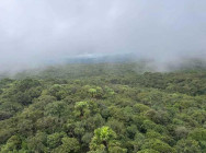 ប្រមុខក្រសួងការពារជាតិ អញ្ជើញពិនិត្យផ្ទាល់ នៅតំបន់ប្រតិបត្តិកា ររុករកឧទ្ធម្ភាគចក្រ ដែលបានបាត់ការទាក់ទង