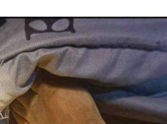 គួរឲ្យអាសូរណាស់ កសិករក្រីក្រម្នាក់ ត្រូវពស់ស្រការចាស់ចឹកស្លាប់ ពេលទៅចាប់កណ្តូបពេលយប់ នៅស្រុកស្វាយចេក