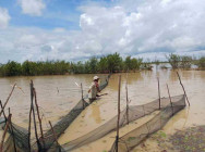 កម្លាំងចម្រុះ ចុះរុះរើស្បៃមុង និងកាប់បំផ្លាញចោលនៅឧបករណ៍ខុសច្បាប់នៅនឹងកន្លែង ក្នុងភូមិសាស្ត្រខេត្តកំពង់ធំ