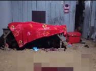 ម្តាយអោបសពកូនប្រុសពៅ បន្ទាប់ពីបងប្រុសបង្កើតវាវាយសម្លាប់នឹងចបជីកដងដែកនៅក្រុងសិរីសោភ័ណ