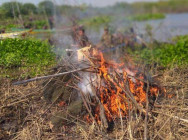 បទល្មើសនេសាទ ក្នុងភូមិសាស្រ្ត ស្រុកឯកភ្នំ ខេត្តបាត់ដំបង ត្រូវបានសមត្ថកិច្ចនគរបាល បន្តសហការបង្រ្កាប