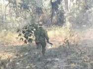 តំបន់បេតិកភណ្ឌភ្នំព្រះ ភ្នំវែង ស្រុកថ្មពួក ត្រូវភ្លើងព្រៃឆេះ កម្លាំងឧទ្យាននុរៈបានពន្លត់ និងគ្រប់គ្រងបាន