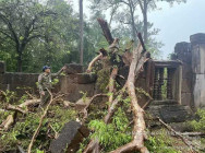 អាជ្ញាធរ កំពុងជួយដោះស្រាយ បាតុភូតធម្មជាតិខ្យល់កន្រ្តាក់ បោកបក់មកលើខេត្តសៀមរាបយ៉ាងខ្លាំង បណ្ដាលឱ្យដួលរលំដើមឈើ 