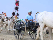 អភិបាលខេត្តកំពង់ស្ពឺ ៖ ពិធីប្រណាំងរទេះសាឡីគោលឿន គឺជាព្រឹត្តិការណ៍ប្រវត្តិសាស្ត្រ ដែលកើតឡើងចេញពីការផ្ដួចផ្ដើមគំនិត របស់អ្នកខេត្តកំពង់ស្ពឺ