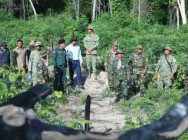 កងកម្លាំងចម្រុះ ត្រួតពិនិត្យ ការដុះលូតលាស់ឡើងវិញ ព្រៃឈើធម្មជាតិ ក្រោយពីជនល្មើស លួចកាប់ទន្ទ្រាន រយពេលមួយឆ្នាំកន្លងមក