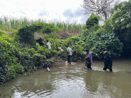 ពលរដ្ឋថៃ អត់ការងារធ្វើ លួចឆ្លងដែនខុសច្បាប់ ចូលមកកម្ពុជា ត្រូវកងកម្លាំងព្រំដែន ឃាត់និងបញ្ជូនចេញ