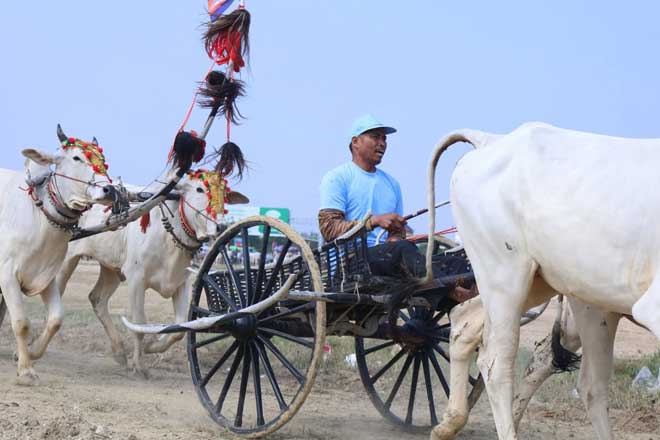 អភិ​បា​​ល​ខេ​ត្ត​កំ​ព​ង់​ស្ពឺ​ ​៖​ ​ពិ​ធី​​ប្រ​ណាំ​ងរ​​ទេះ​សា​ឡីគោ​​លឿ​ន​ ​គឺ​ជាព្រឹ​ត្តិ​កា​​រ​ណ៍​ប្រ​វ​ត្តិ​សា​ស្ត្រ​​ ​ដែ​ល​កើ​ត​​ឡើ​ងចេ​​ញ​ពី​កា​រ​ផ្ដួ​ច​ផ្ដើ​ម​គំ​និ​ត​ ​រ​​ប​ស់​អ្ន​ក​ខេត្ត​កំ​ព​ង់​ស្ពឺ​​